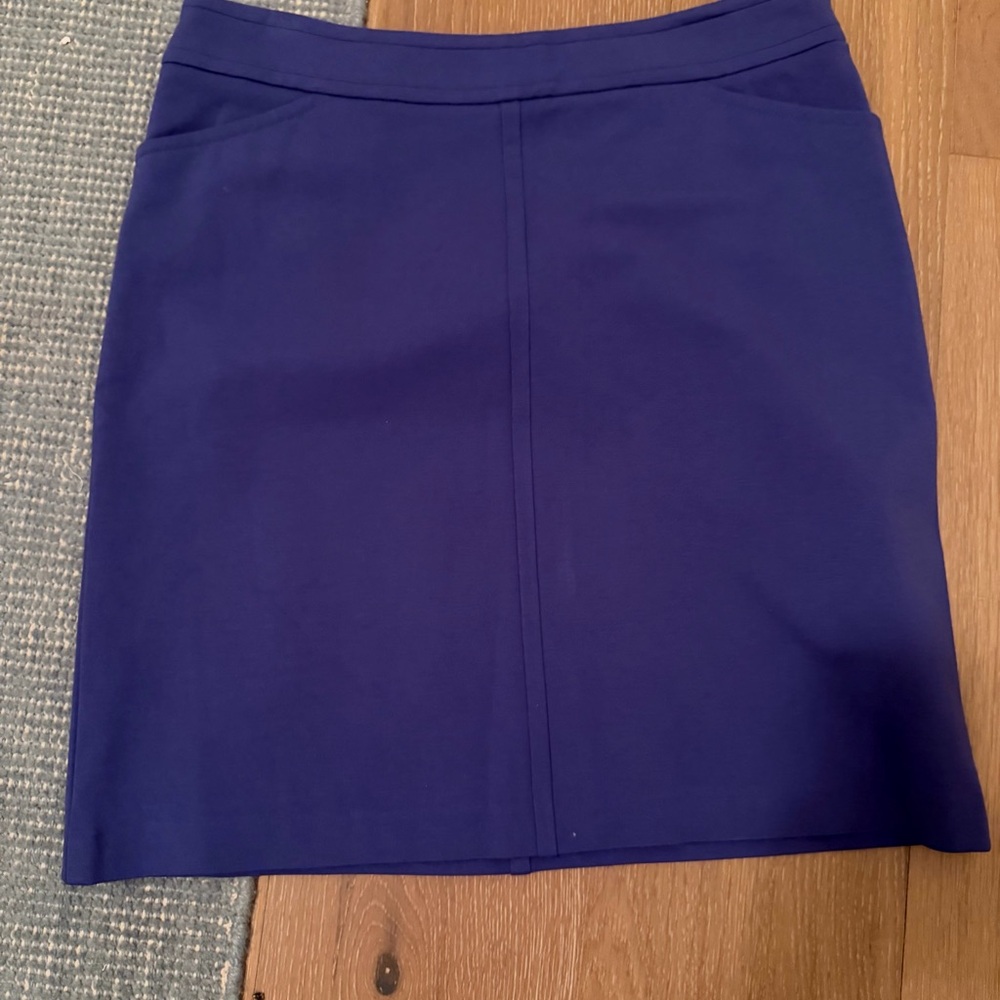 Talbots Elegant Blue Women's Skirt